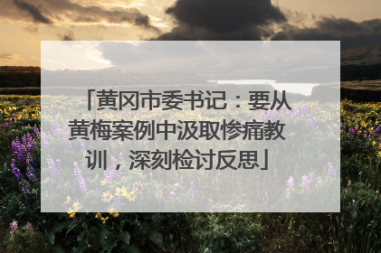 黄冈市委书记：要从黄梅案例中汲取惨痛教训，深刻检讨反思