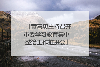 黄喜忠主持召开市委学习教育集中整治工作推进会