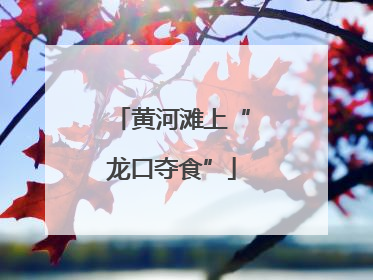 黄河滩上“龙口夺食”