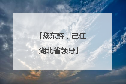 黎东辉，已任湖北省领导