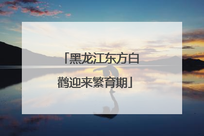 黑龙江东方白鹳迎来繁育期