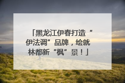 黑龙江伊春打造“伊法调”品牌，绘就林都新“枫”景！