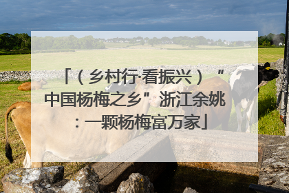 （乡村行·看振兴）“中国杨梅之乡”浙江余姚：一颗杨梅富万家