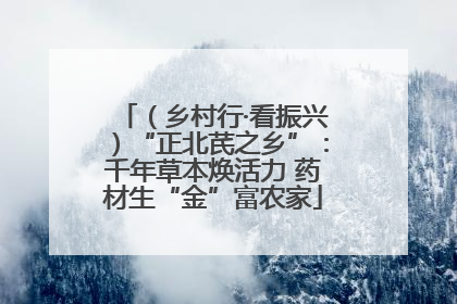 （乡村行·看振兴）“正北芪之乡”：千年草本焕活力 药材生“金”富农家