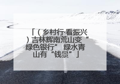 （乡村行·看振兴）吉林辉南荒山变“绿色银行” 绿水青山有“钱景”