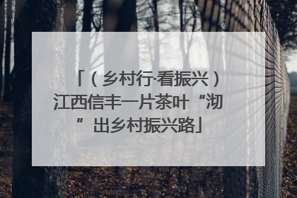（乡村行·看振兴）江西信丰一片茶叶“沏”出乡村振兴路