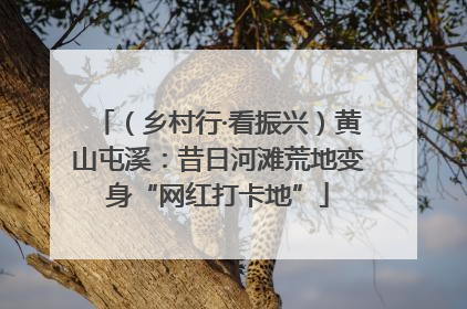 （乡村行·看振兴）黄山屯溪：昔日河滩荒地变身“网红打卡地”