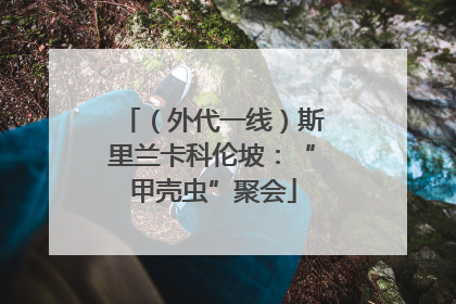 （外代一线）斯里兰卡科伦坡：“甲壳虫”聚会