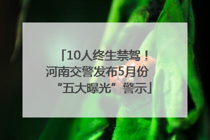 10人终生禁驾！河南交警发布5月份“五大曝光”警示