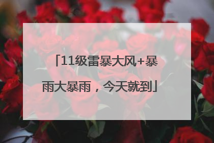 11级雷暴大风+暴雨大暴雨，今天就到