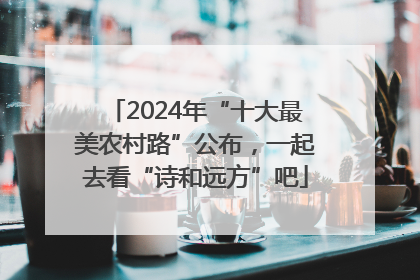 2024年“十大最美农村路”公布，一起去看“诗和远方”吧
