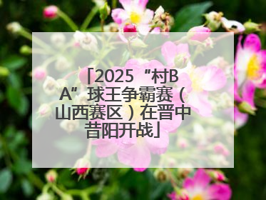 2025“村BA”球王争霸赛（山西赛区）在晋中昔阳开战