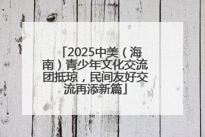 2025中美（海南）青少年文化交流团抵琼，民间友好交流再添新篇