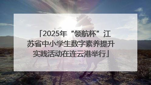 2025年“领航杯”江苏省中小学生数字素养提升实践活动在连云港举行