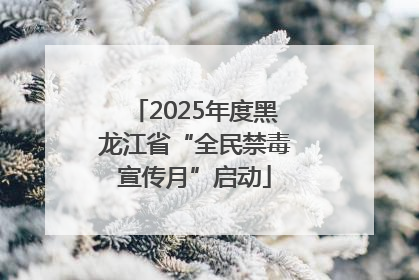 2025年度黑龙江省“全民禁毒宣传月”启动