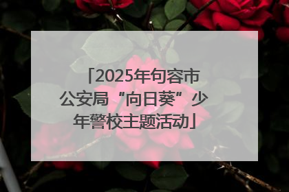 2025年句容市公安局“向日葵”少年警校主题活动