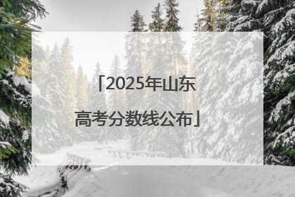 2025年山东高考分数线公布