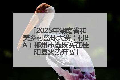 2025年湖南省和美乡村篮球大赛（村BA）郴州市选拔赛在桂阳县火热开赛