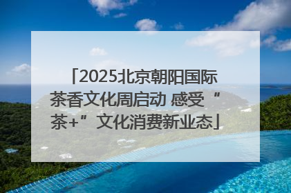 2025北京朝阳国际茶香文化周启动 感受“茶+”文化消费新业态