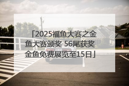 2025福鱼大赛之金鱼大赛颁奖 56尾获奖金鱼免费展览至15日