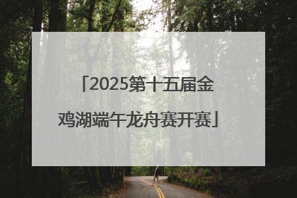 2025第十五届金鸡湖端午龙舟赛开赛