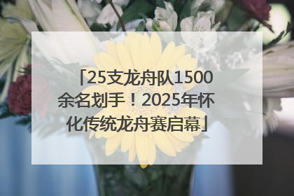 25支龙舟队1500余名划手！2025年怀化传统龙舟赛启幕