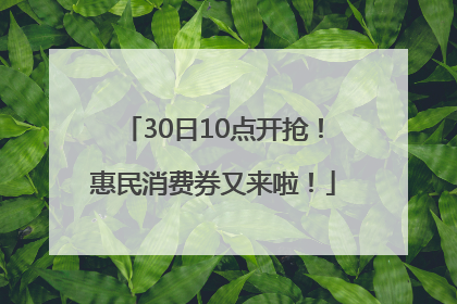 30日10点开抢！惠民消费券又来啦！