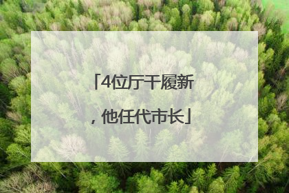 4位厅干履新，他任代市长