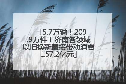 5.7万辆！209.9万件！济南各领域以旧换新直接带动消费157.2亿元
