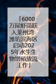 6000万尾虾苗跃入莱州湾 潍坊滨海区启动2025年水生生物增殖放流工作