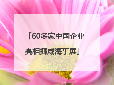 60多家中国企业亮相挪威海事展