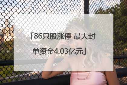 86只股涨停 最大封单资金4.03亿元