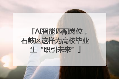 AI智能匹配岗位，石鼓区这样为高校毕业生“职引未来”