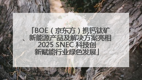 BOE（京东方）携钙钛矿、新能源产品及解决方案亮相2025 SNEC 科技创新赋能行业绿色发展