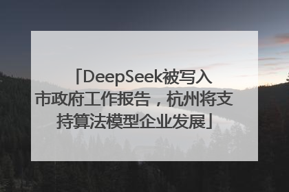 DeepSeek被写入市政府工作报告，杭州将支持算法模型企业发展