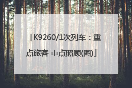 K9260/1次列车：重点旅客 重点照顾(图)