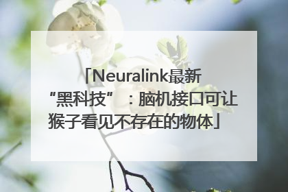 Neuralink最新“黑科技”：脑机接口可让猴子看见不存在的物体