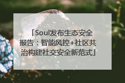 Soul发布生态安全报告：智能风控+社区共治构建社交安全新范式